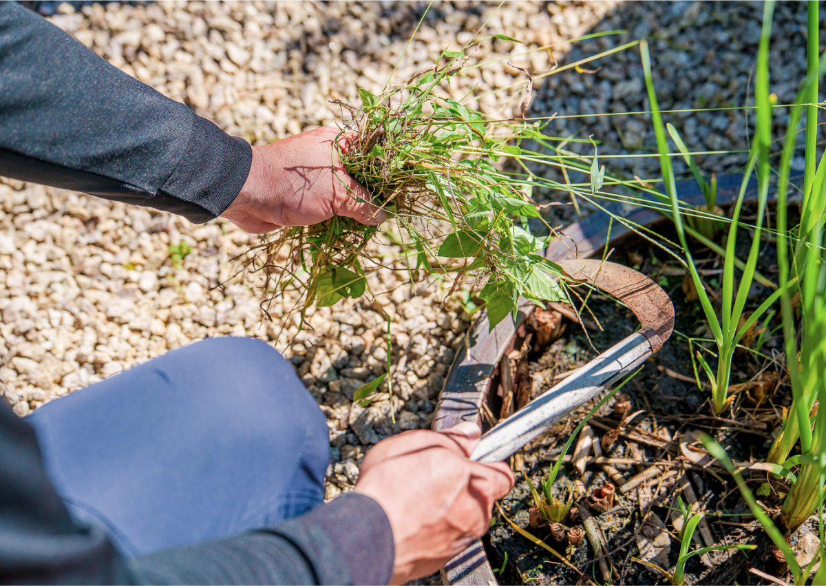 お庭のお手入れ