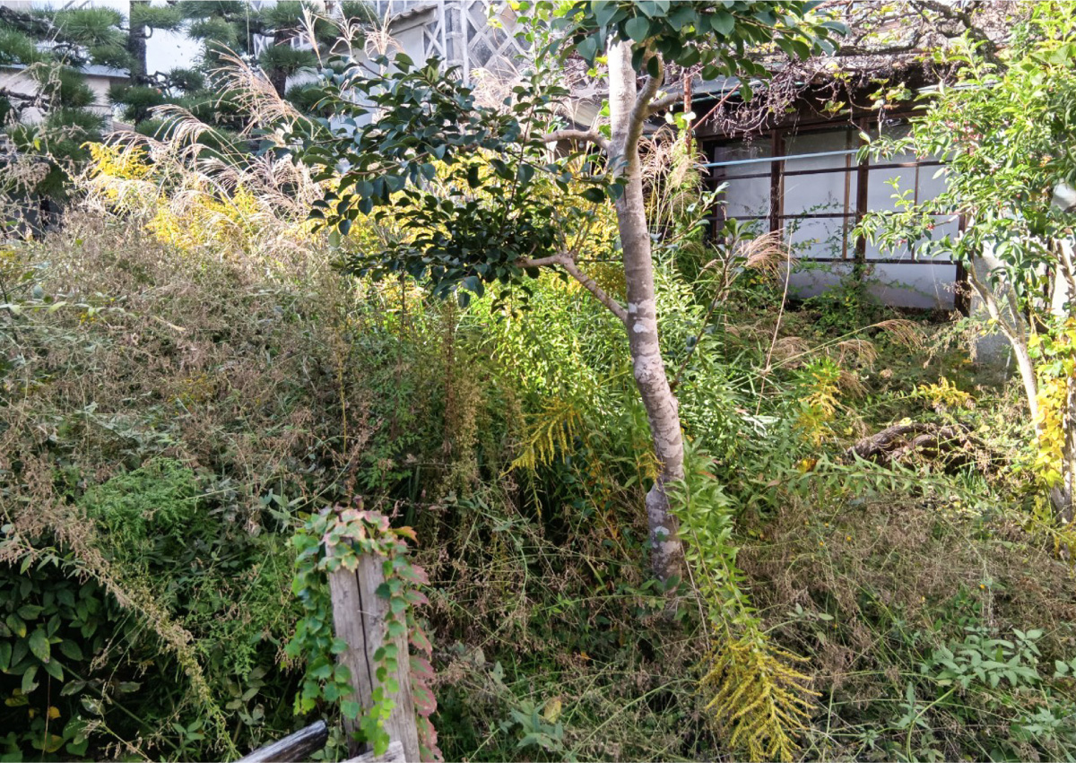 お庭のお手入れ