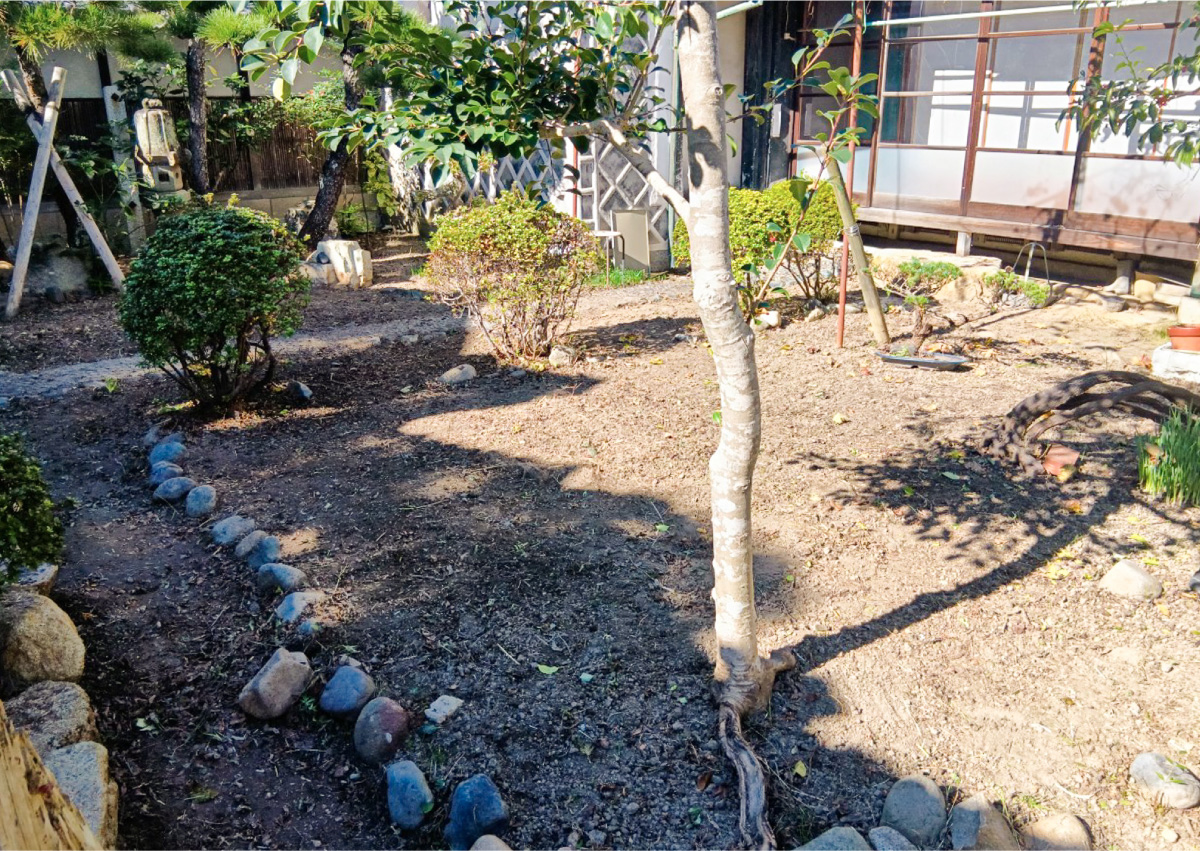 お庭のお手入れ